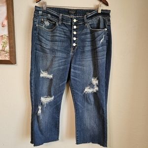 Judy Blue Cut off Jeans - size 18W
